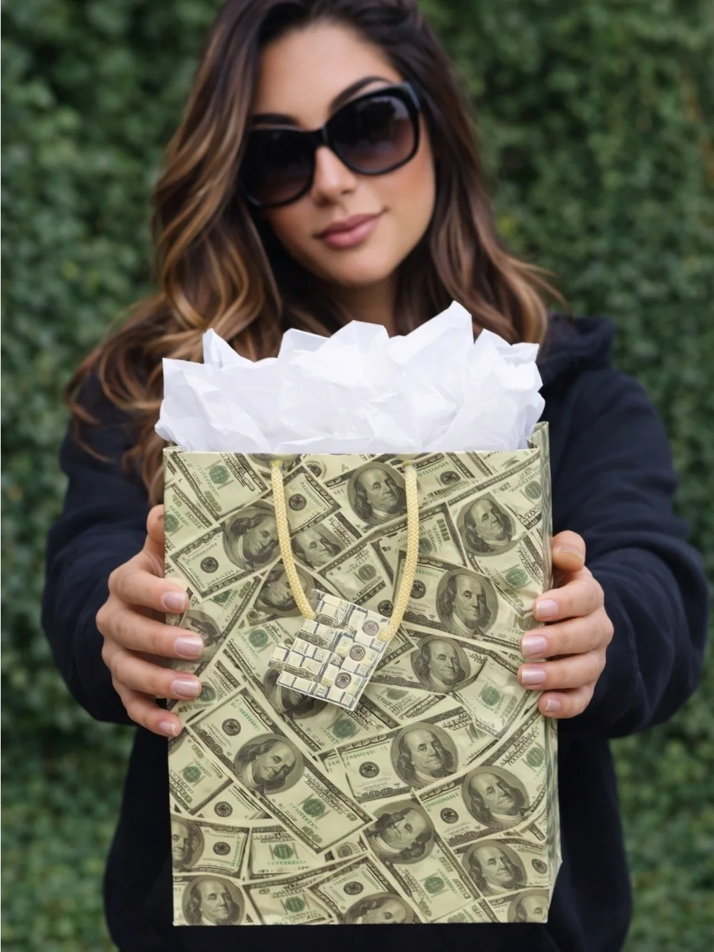 Novelty Money Print Gift Bag with Tissue